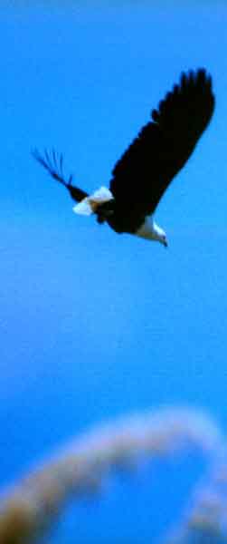 Een moment geduld s.v.p..